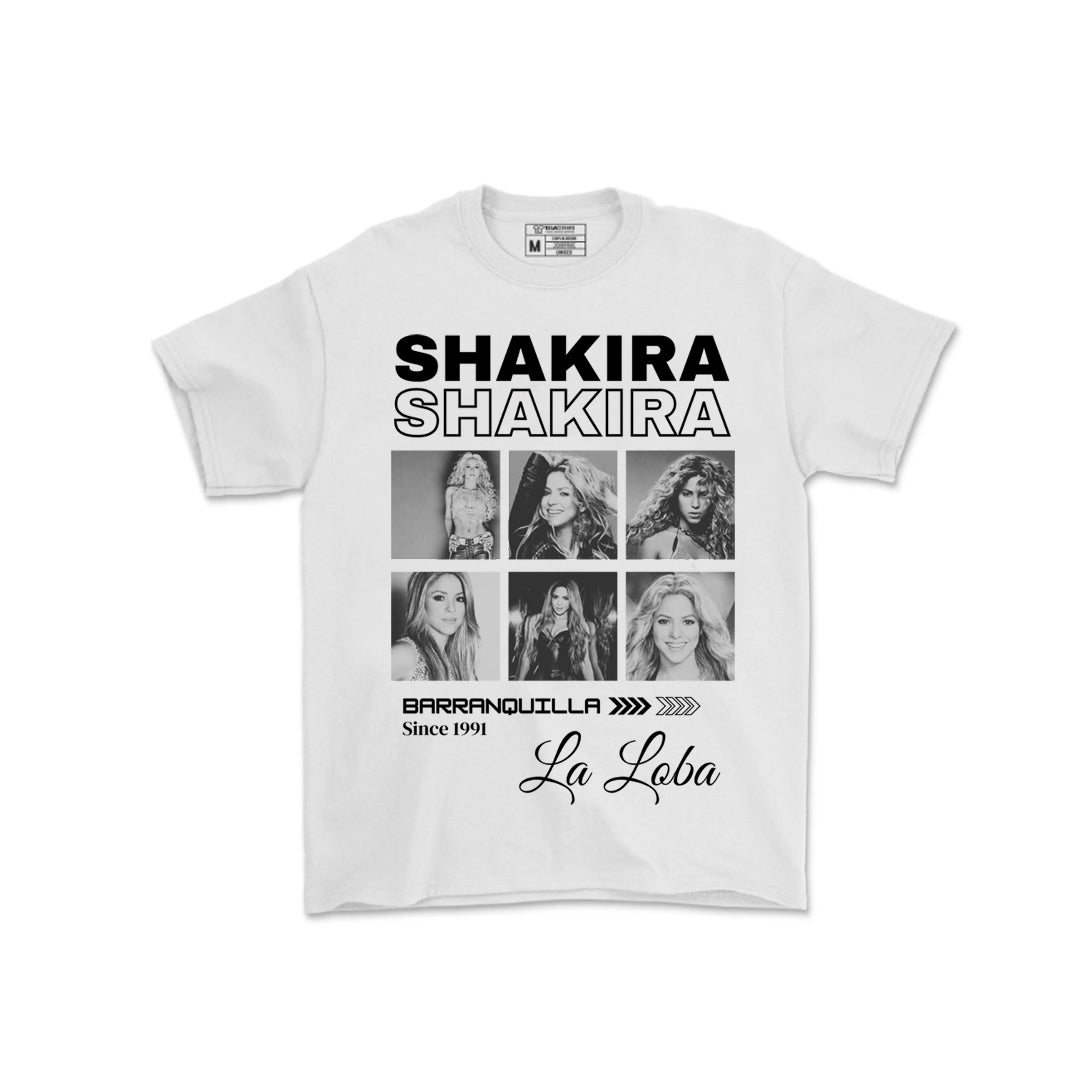 Shakira Tour Chile 2025